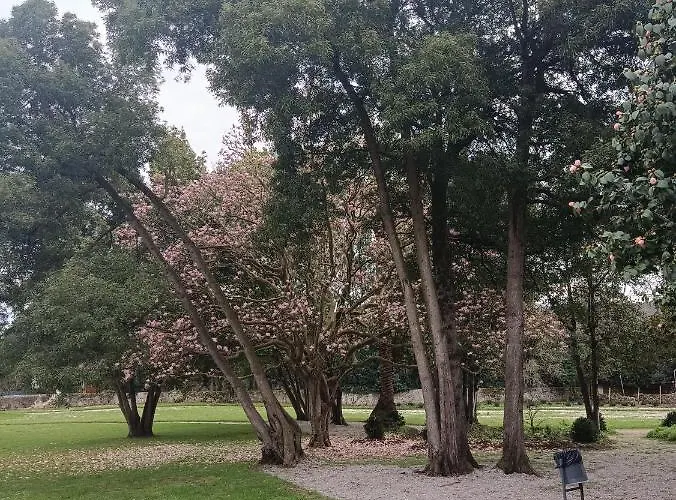 Villaro Apartmán Cartes